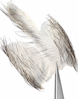 Divine Glide Wachs