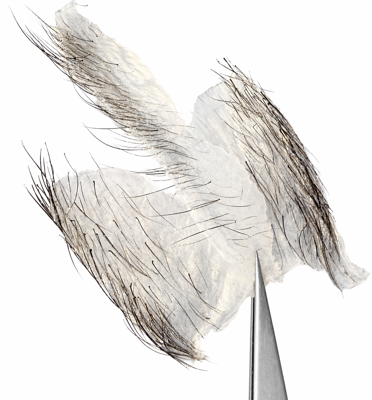 Divine Glide Wachs